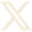 X icon